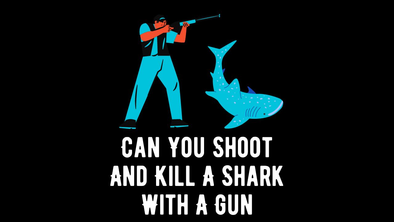 Can You Shoot And Kill A Shark With A Gun