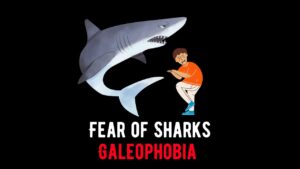 Fear of Sharks Galeophobia