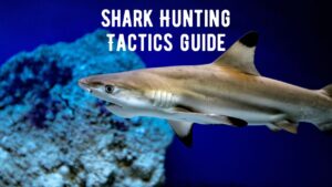 How Do Sharks Hunt? 10 Shark Hunting Tactics