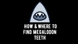 How and Where To Find Megalodon Teeth