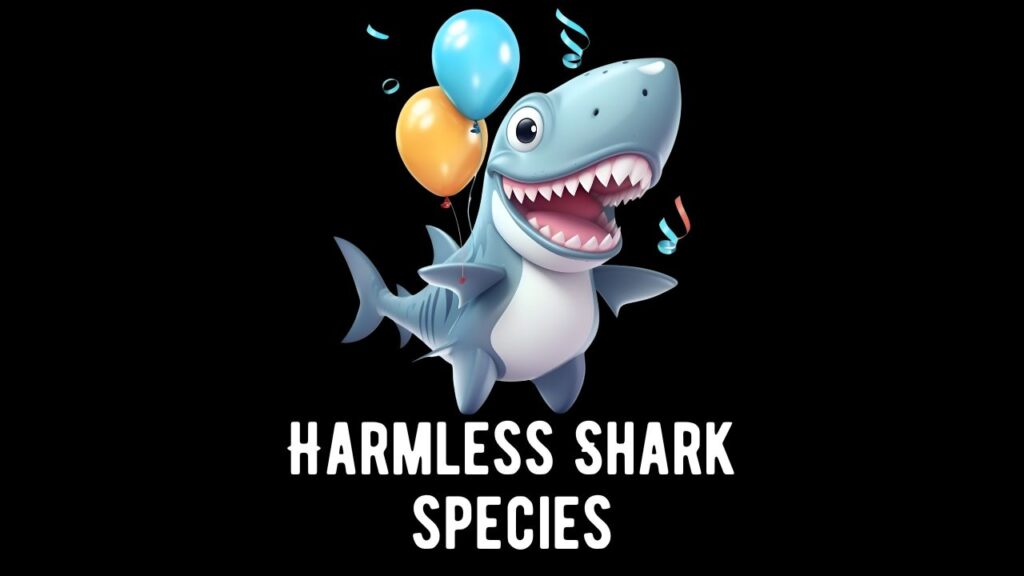 20 Least Dangerous and Harmless Sharks Species - Shark Truth