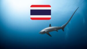 Are There Sharks In Thailand