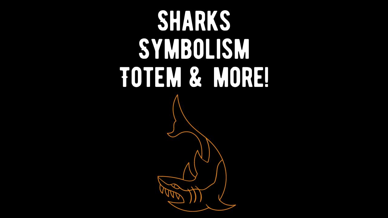 Sharks Symbolism