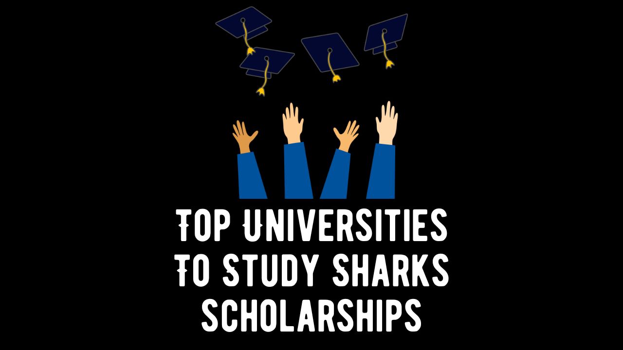 Top Universities To Study Sharks