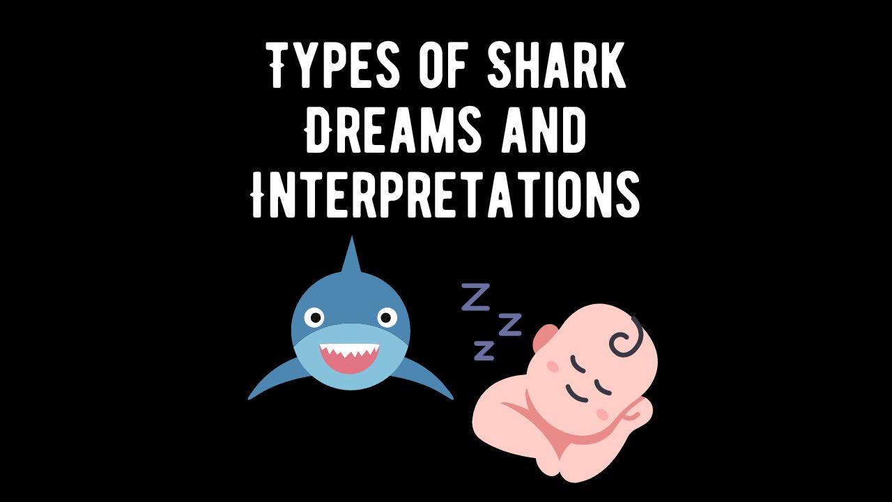 20 Types of Shark Dreams and Their Interpretations