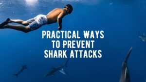 20 Ways to Prevent Shark Attacks