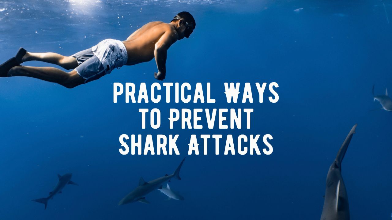 20 Ways to Prevent Shark Attacks