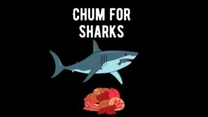 Chum for Sharks Types, Uses, and Ethical Considerations